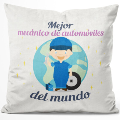 Mejor mecánico de automóviles del mundo 14001007033
