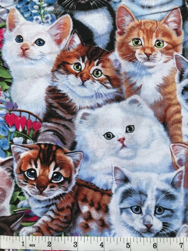Kitty Portraits - Kittens and Cats Animal Print - Quilt Fabric - Fat Quarter - Picture 2 of 3