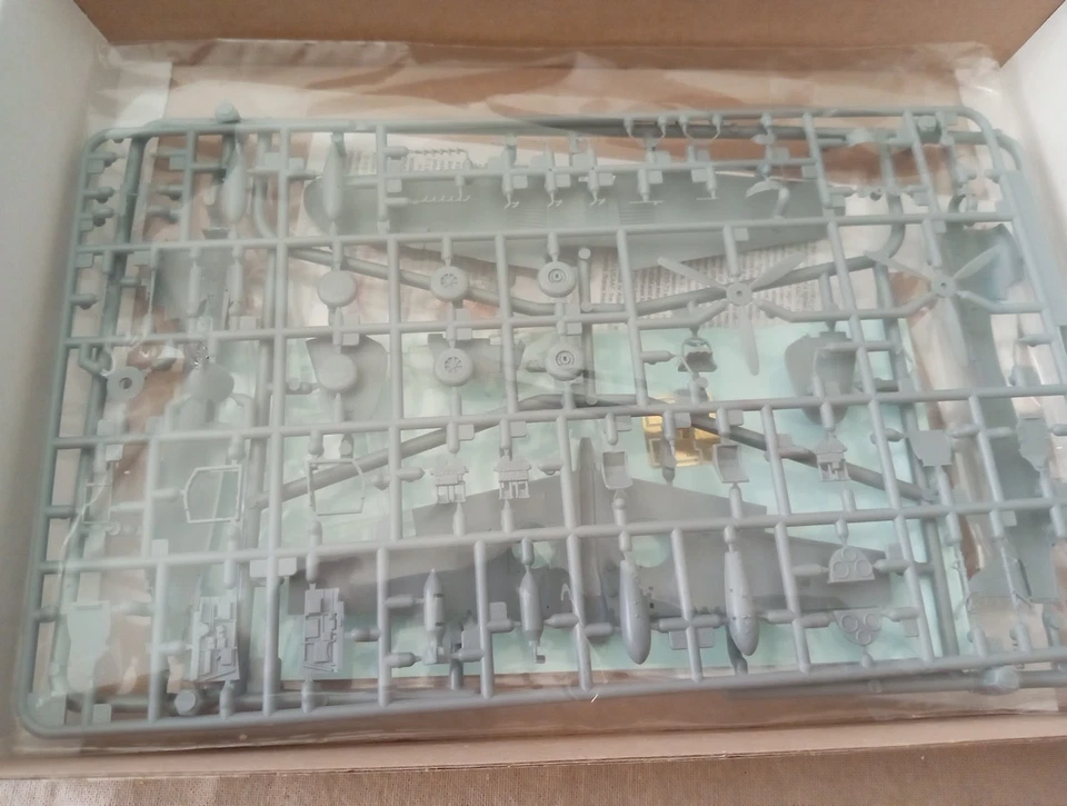 1/72 Special Hobby Curtiss P-40D Warhawk/Kittyhawk Mk. I 'Four Guns' - Immagine 3 di 4