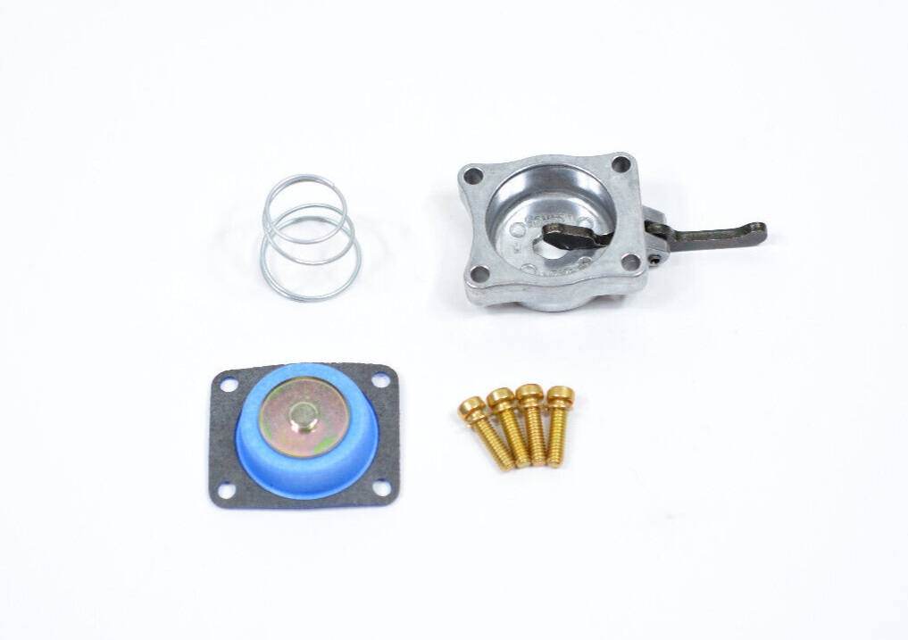 Holley 50cc Silver Accelerator Pump Cover, Alcohol Diaphram, Spring