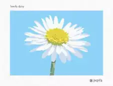 Lonely Daisy Needlepoint Kit or Canvas