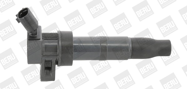 ZüNdspule Borgwarner (Beru) ZS548 FüR Hyundai KIA 12V Ix35 LM EL ELH Genesis FÉ-image