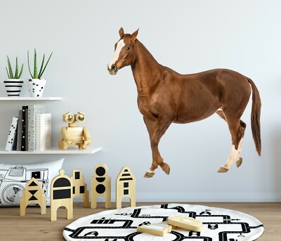 3D Pferd H340 Tier Wallpaper Wandbild Poster Wandaufkleber Abziehbild Hone