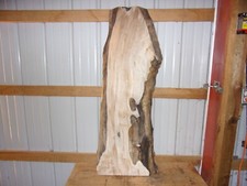 1 PC SPALTED RUSTIC MAPLE SLAB BOARD KILN DRIED LUMBER 1 3/4" THICK 1678V WOOD