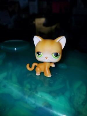 リトルペットショップ Littlestpetshop 猫 11 LITTLEST PET SHOP CAT #11 | eBay