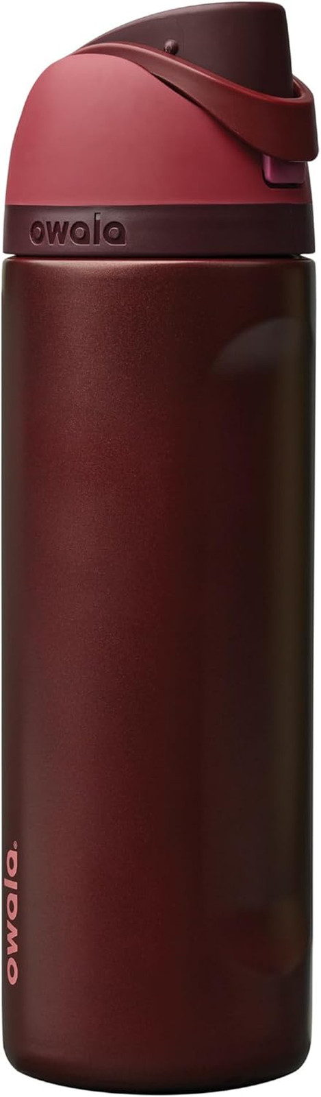 Freesip Insulated Stainless Steel Water Bottle with Straw, Bpa-Free Sports Water