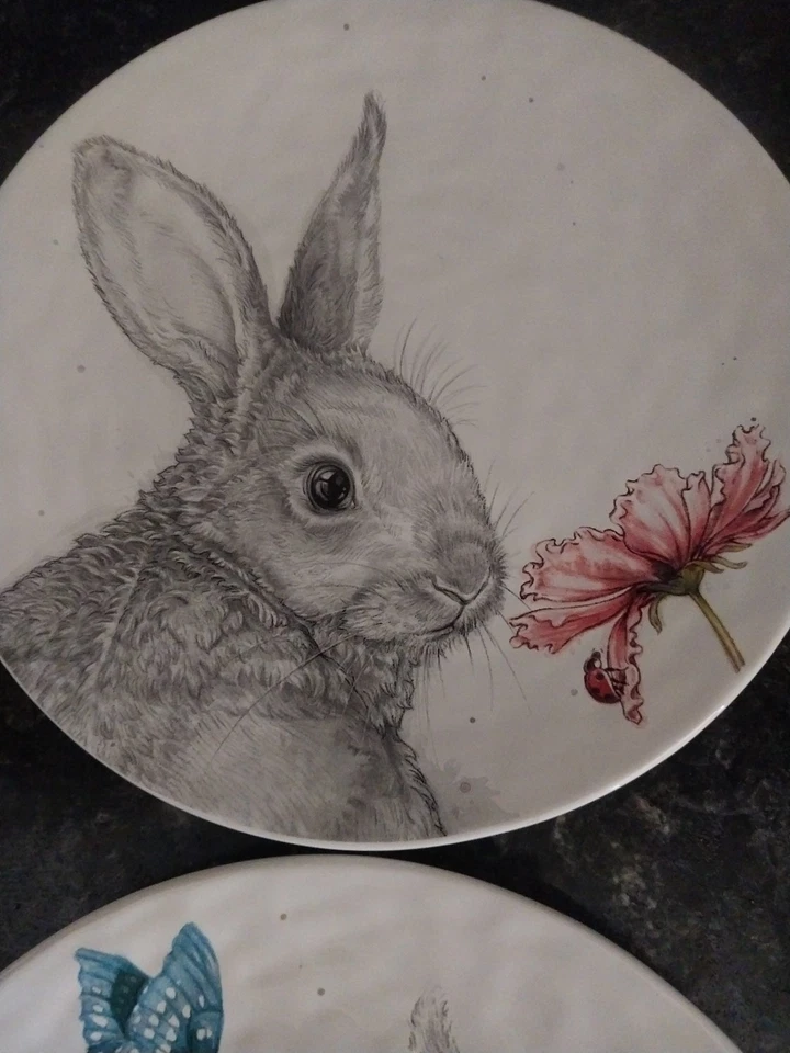 Adorable SKETCH EASTER/SPRING BUNNY 8.5" Salad Plate Set 4Pc. Pier 1 - Image 3 of 4