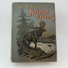Little Folks’ Natural History Book Pictures And Stories 1902 Lyman A Martin