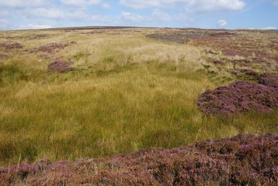 Photo A2 Water catchment area below Stony Ridge Stony Ridge/NZ6302 The  c2014