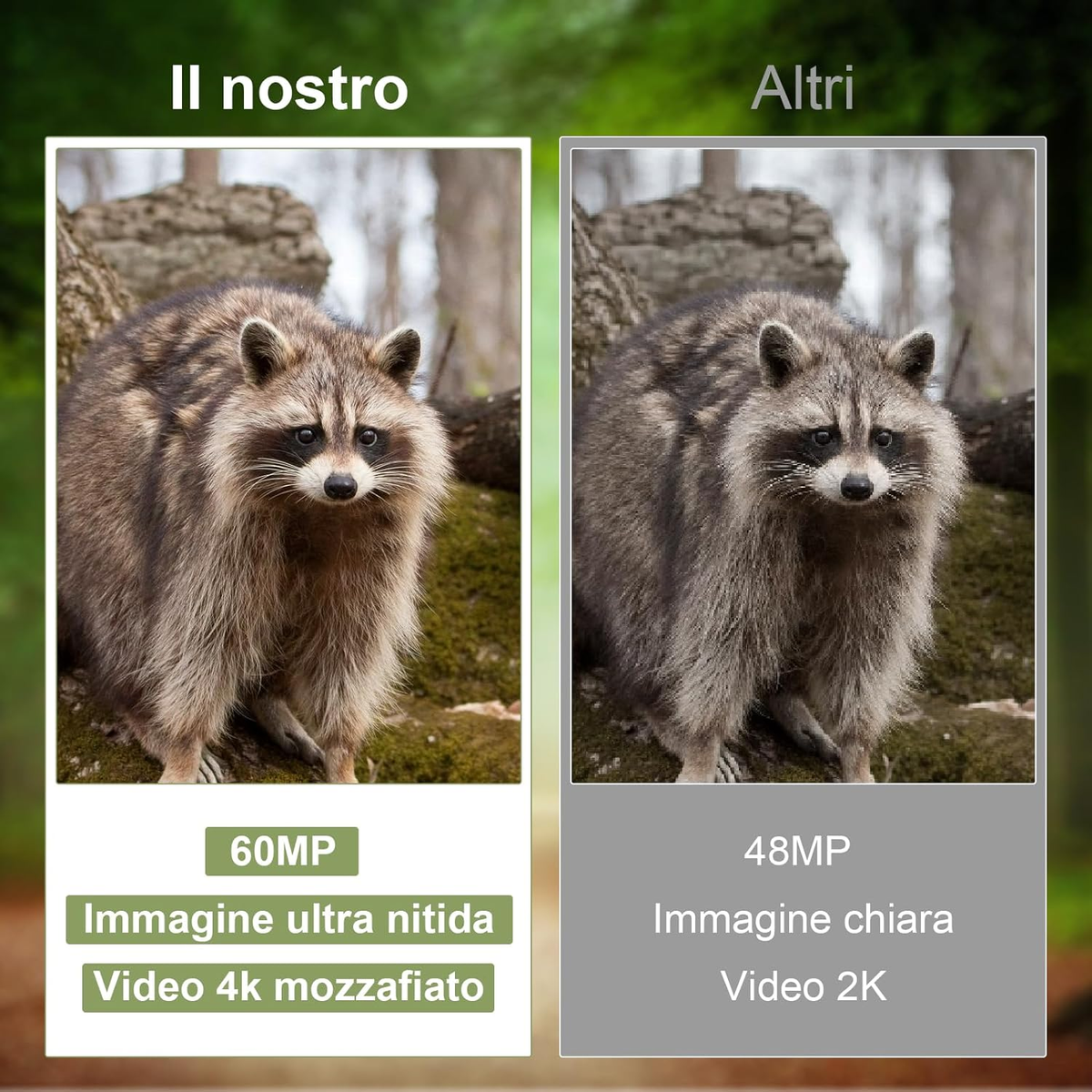 Fototrappola WiFi 4K 60MP Con Visione Notturna - Sensore Movimento 0.1s, IP66, Per Videosorveglianza Animali - Foto 2
