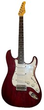 Jay Turser Stratocaster Style Electric Guitar