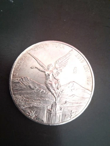 2019 Mexican Silver Libertad 1 oz — photo from another recent sale