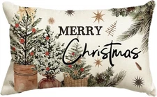 Merry Christmas Eucalyptus Red Berries Throw Pillow Cover, 12 x 20 Inch Winter 