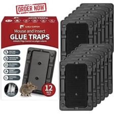 LULUCATCH Mouse & Insect Traps 12 Pack, Heavier Sticky Traps with Non-Toxic Glue