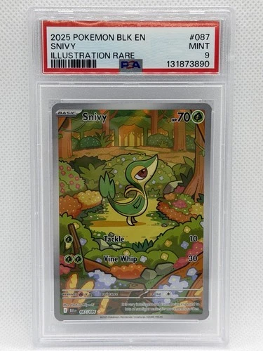 Pokemon Snivy Black Bolt 87/86 Illustration Rare Psa9