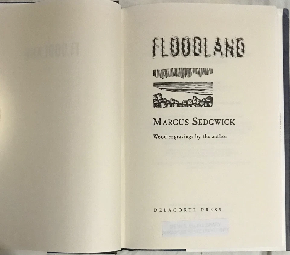 FLOODLAND Marcus Sedgwick 1st US hardback + dustjacket 2001 Rare Childs Classic - Image 3 of 4