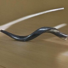 Full polished natural Judaica Kosher 48-60Cm Yemenite Kudu Shofar horn Israel