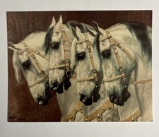 POSTCARD REPRINT GRAY ARABIAN LIPIZZAN ANDALUSIAN HORSE VINTAGE PRINT 4.25”x5.5”