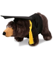 PLUSH GRADUATION - SUPER SOFT PLUSH - STANDING WILD BLACK BEAR