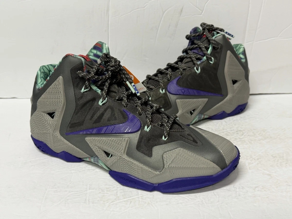 Nike Lebron 11 Xdr Terracotta Warrior for Sale | Authenticity