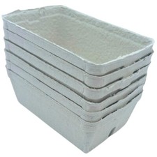 Bramley & Sage 250g Biodegradable Fibre Fruit Punnets (Set of 50)