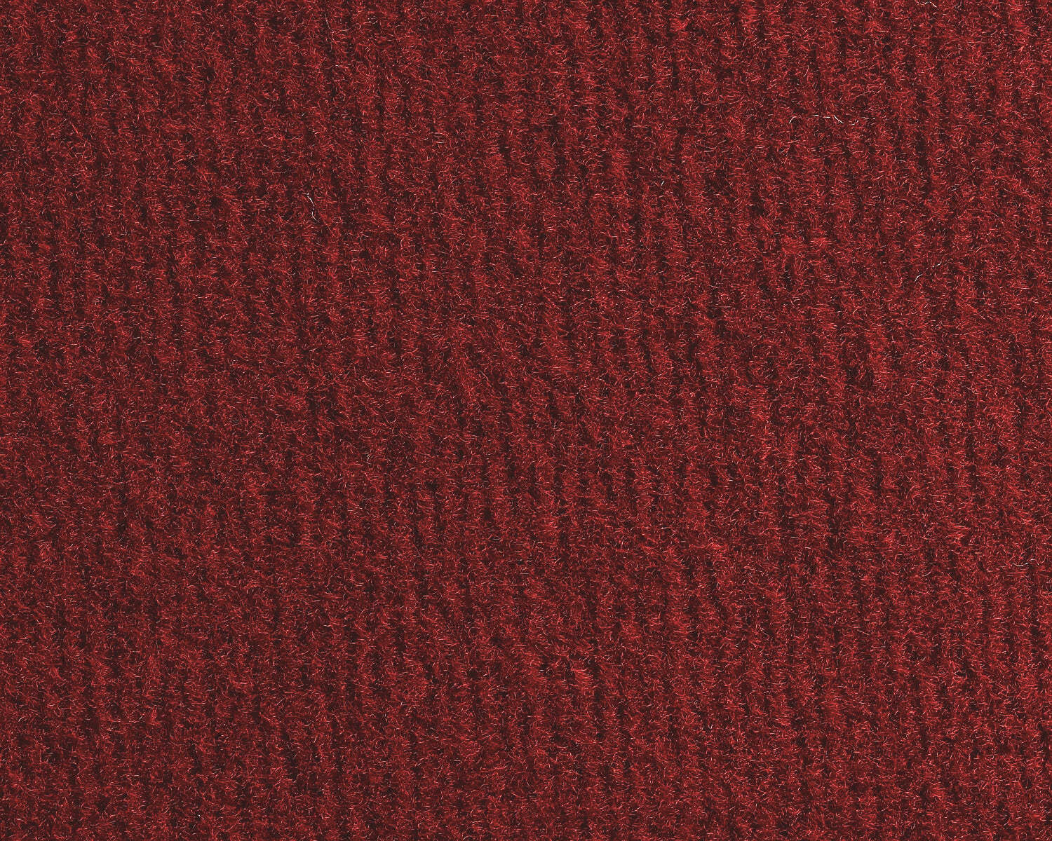 Picture 4 of 25