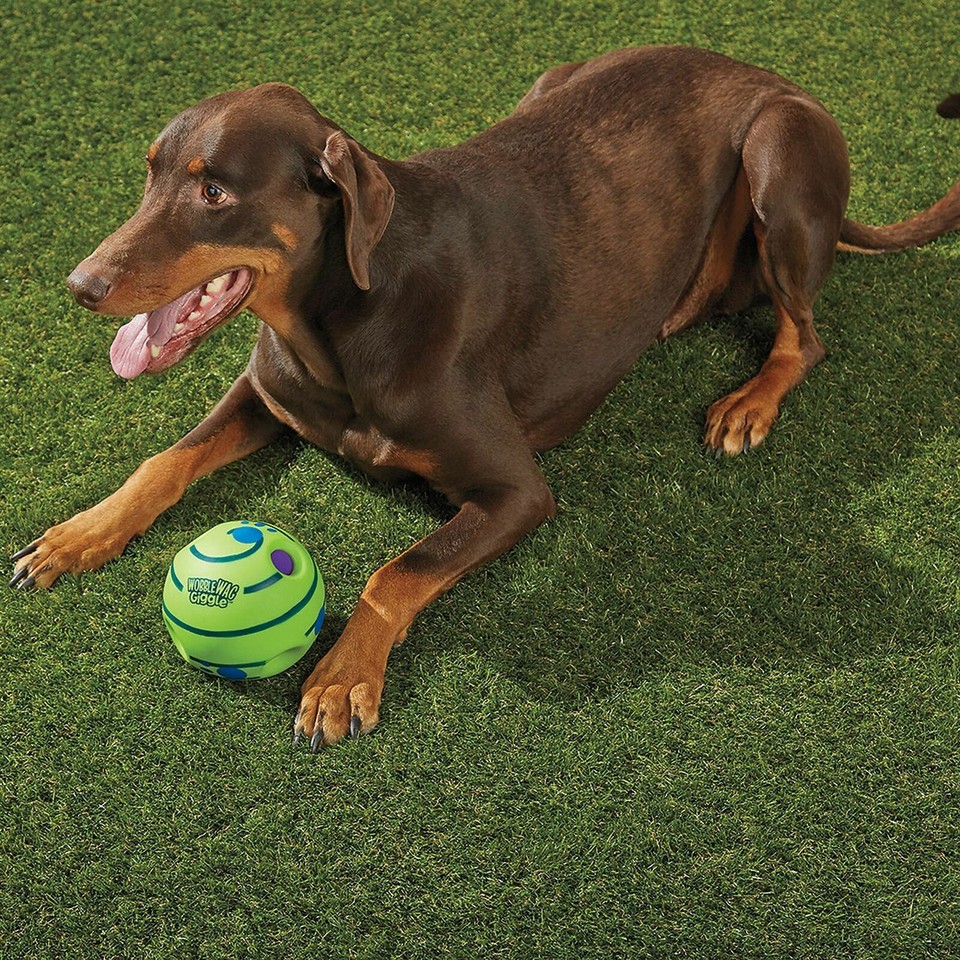 Sound Wobble Wag Giggle Ball Dog Doggy Pet Indoor Outdoor Toy Rolling - Foto 11