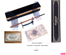 Harry Potter Baguette :  CÉDRIC DAGGORY Métal/résine+boite + 2 cartes + support