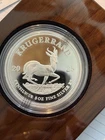 2025 Silver Krugerrand 1 oz — photo from another recent sale