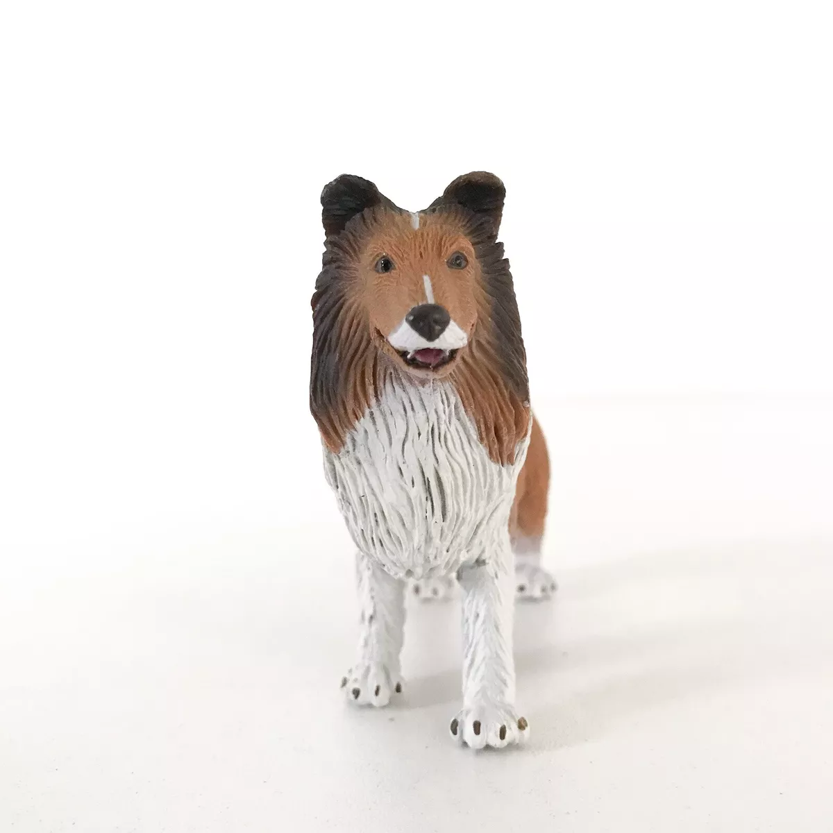 Toy collie cheap