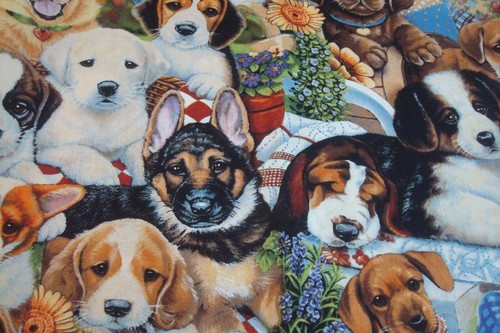One yd David Tex Fabric Jenny Newland DOG Breeds Lover Quilt Craft 44" x 36" BTY - Picture 3 of 7