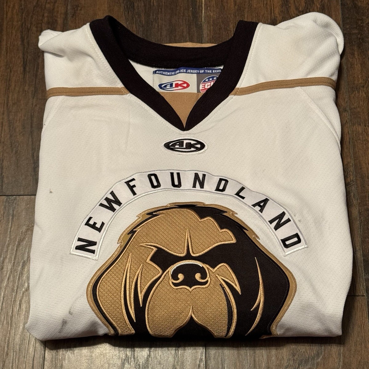 Isaac Johnson #20 Newfoundland Growlers White ECHL Game Worn Minor