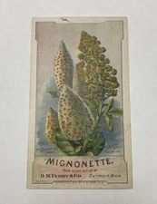 D M Ferry Flower Seeds Victorian Trade Card Mignonette Floral Nature