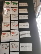 Montessori homeschool Science zoology PARTS OF AN AMPHIBIAN 3 part match cards