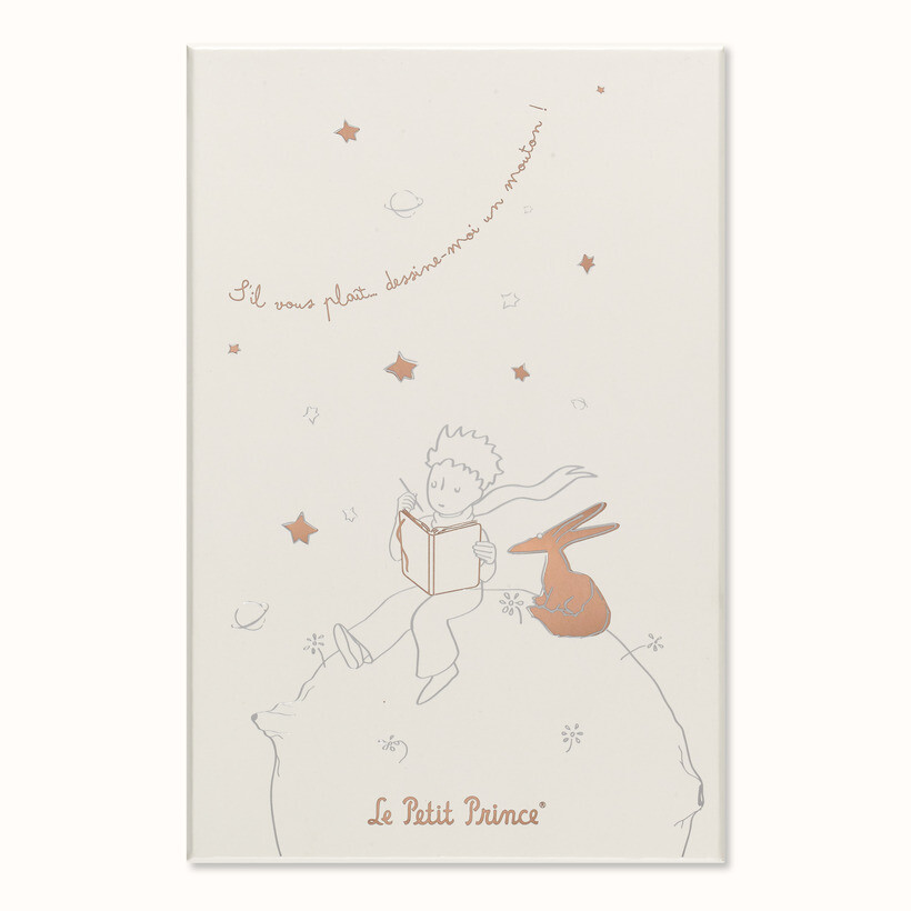 PLAN AND NOTEBOOK LE PETIT PRINCE 2023. - GIFT BOXES 8056999270858