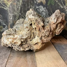 Missouri  Natural  Fossilized Coral Stone