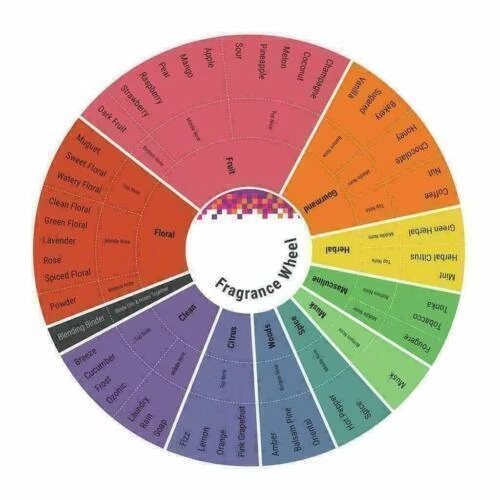 Concentrated Fragrance Perfume Attar Oil COCO Best Francois Harera Alcohol-Free - Imagem 4 de 4