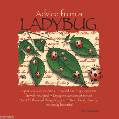 Ladybug T-shirt S 2XL Advice Organic Cotton NWT Short Sleeve Red