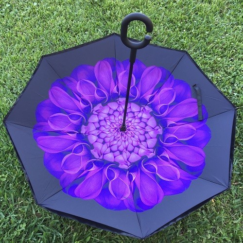 C-Handle Inverted Inside-Out/Upside Down/Reverse Opening Umbrella 20percent Off image 4