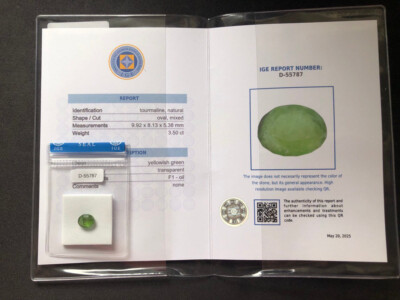Certified Natural Tourmaline 3.50 ct   Oval Cut   IGE   Yellowish Green Gem