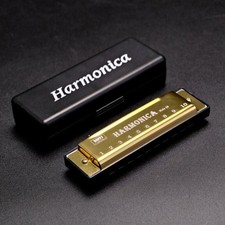Harmonica Mouth Organ Puzzle Musical Instrument Beginner Teaching Metal 10 Hole