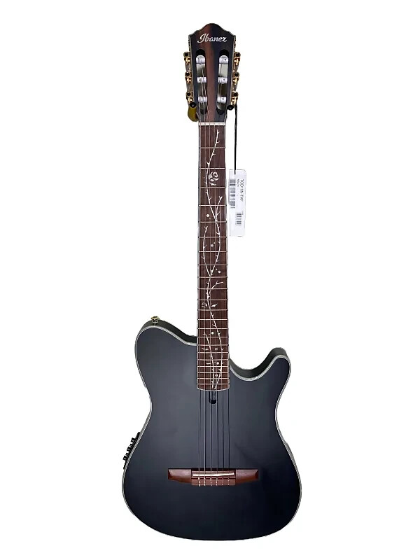 Ibanez Acoustic/Electric Classical Guitar (TOD10N Tim Henson