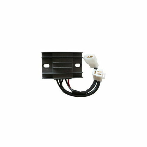 Tensionatore Cinghia INA 532040230 - Galoppino Per Cinghia Poly-V, Compatibile Con Opel, Honda E Altri Modelli