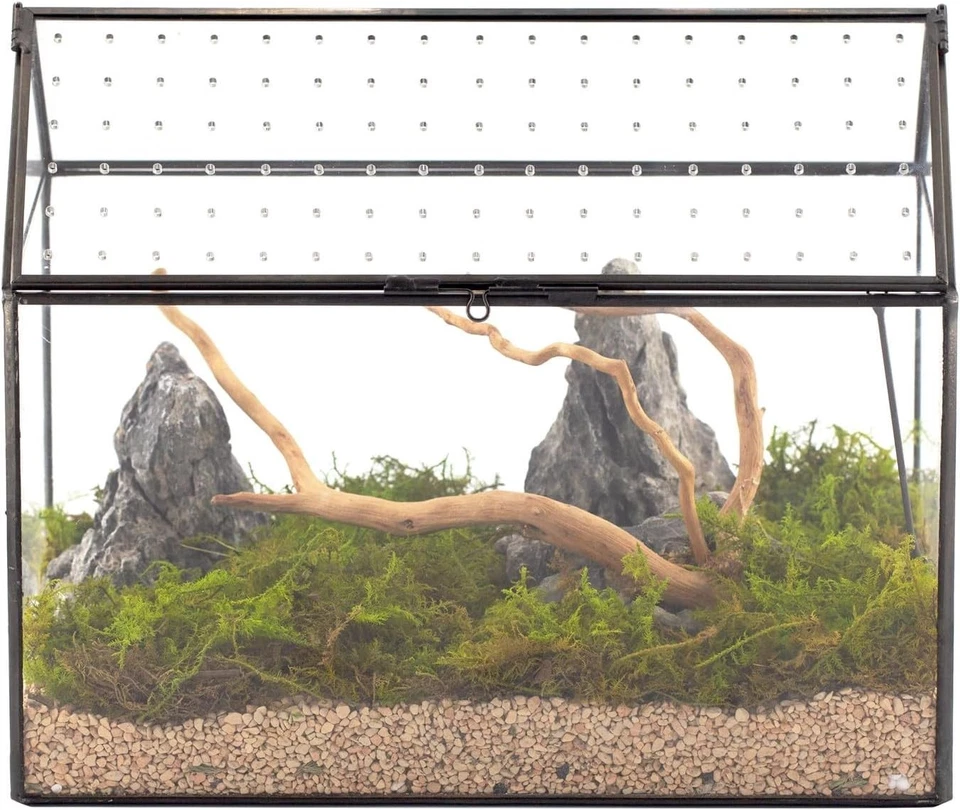 Handmade House Glass Terrarium with Acrylic Lid - Image 3 of 4