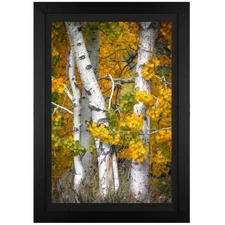 Jongas, "Fall is Over" Framed Limited Edition on Canvas, Numbered and Hand Signe