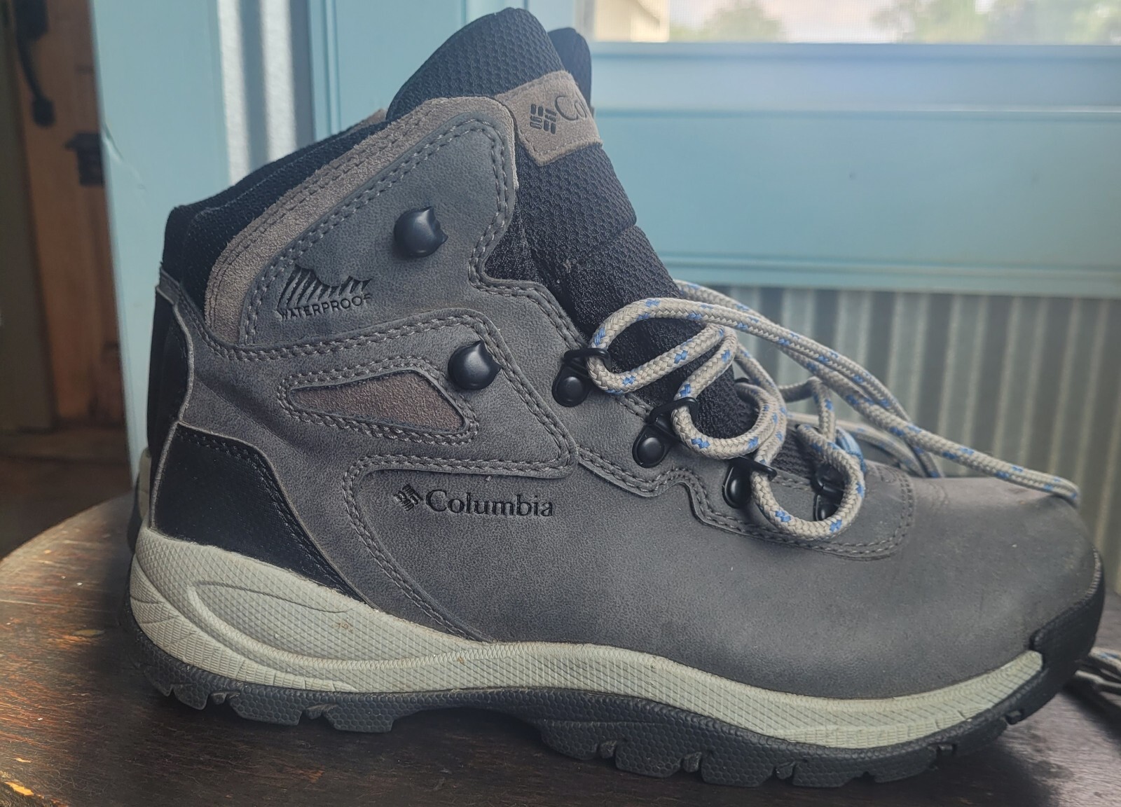 Newton Ridge Plus Hiking Boot Gray 