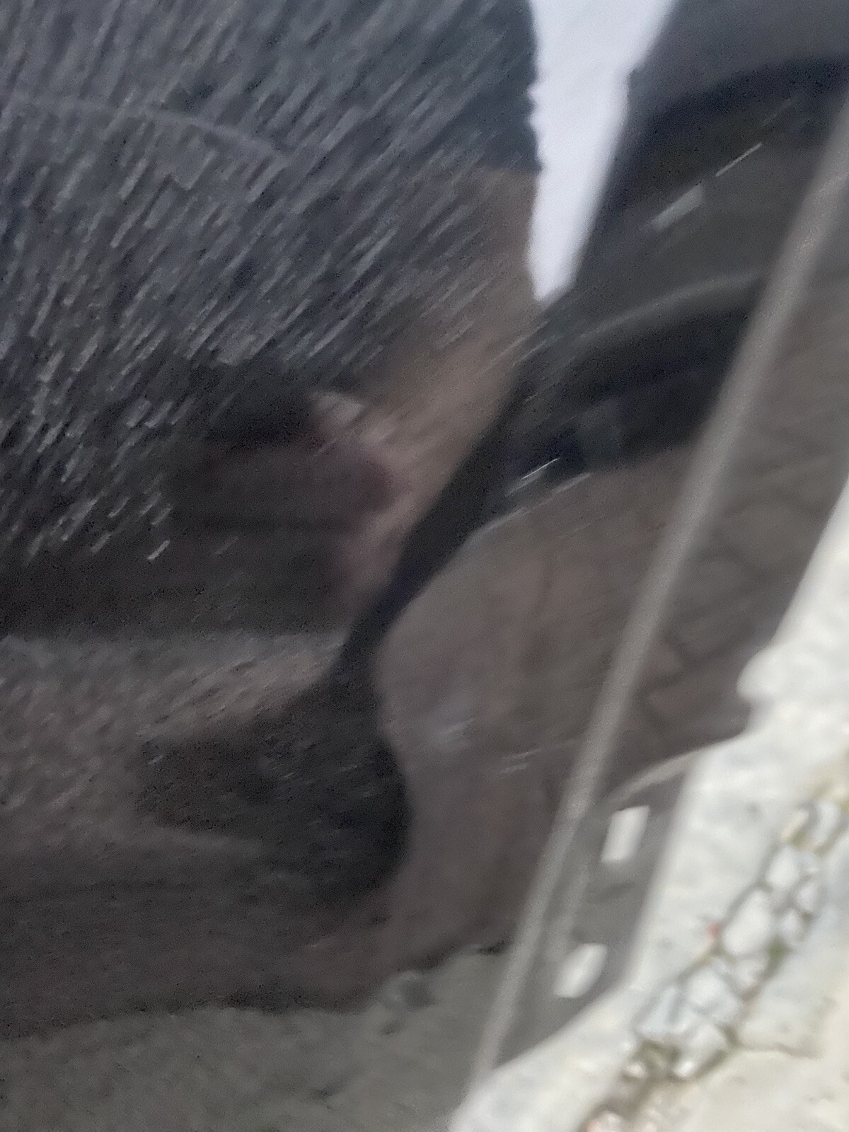Picture 5 of 6