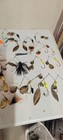 Mixed Lot Bass Freshwater Lures: Spinnerbaits, Spoons, Hard Plastic Baits — photo 5