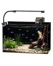 5 Gallon Rimless Glass Fish Tank Aquarium Starter Kit Complete Aquarium Kit...
