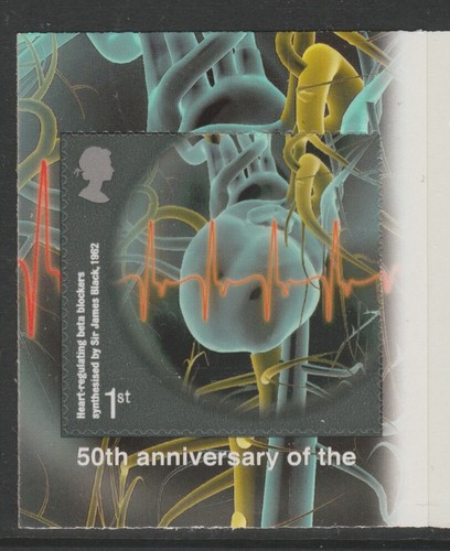 GB MINT 2001 - 2021 self adhesive die cut stamps from PM booklets - Picture 39 of 104
